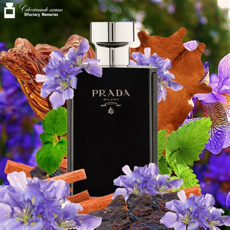 prada l homme intense decant|Prada l'homme intense discontinued.